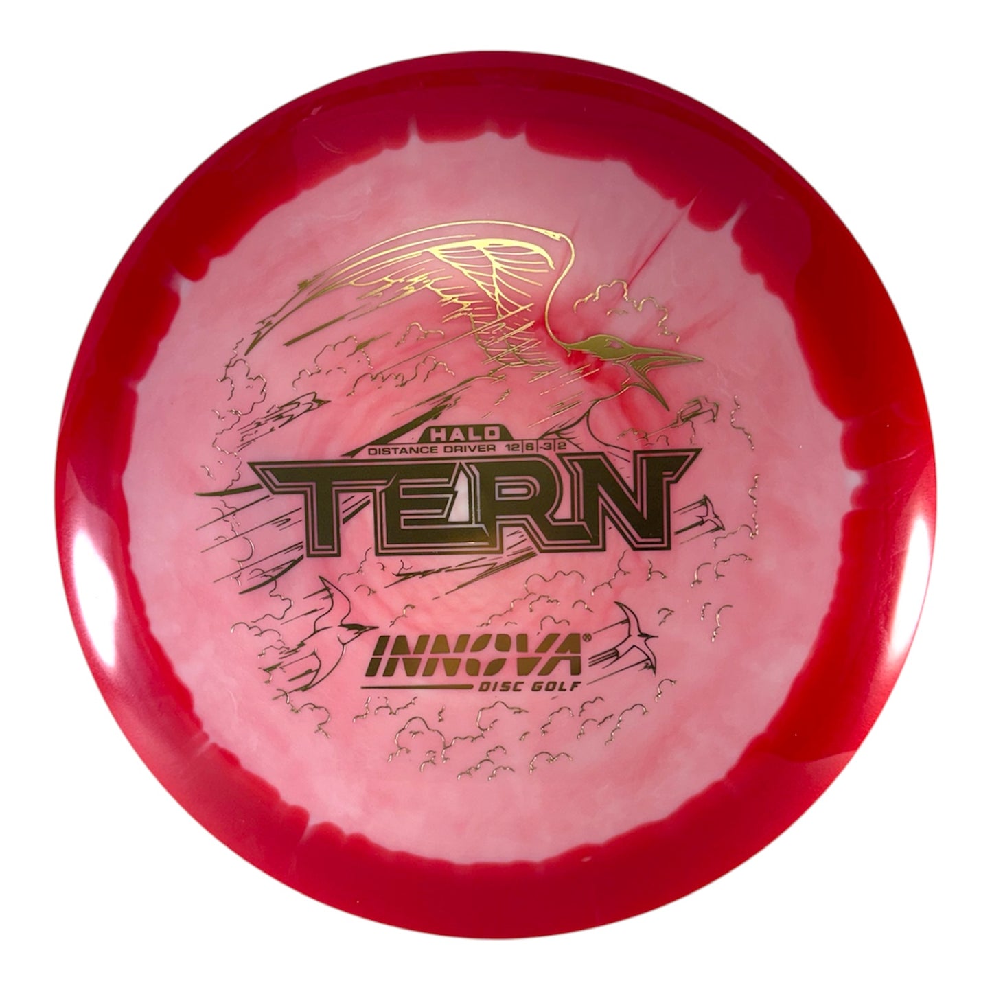 Innova Tern