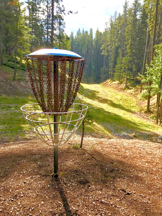 How to Get Involved in the Disc Golf Community and Meet New Players