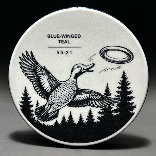 Grasslands Blue-Winged Teal