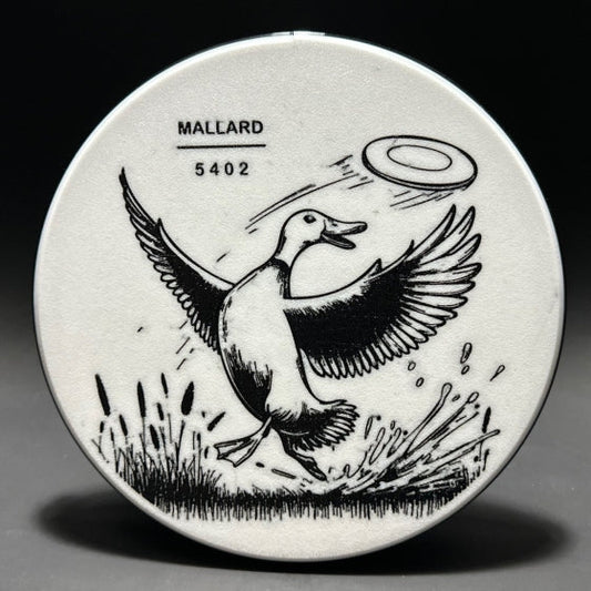 Grasslands Mallard